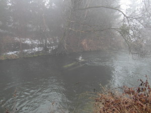 SAM_0417