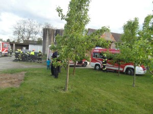 Bilder f F-diskSAM_0682