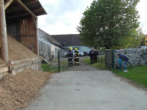 Bilder f F-diskSAM_0699