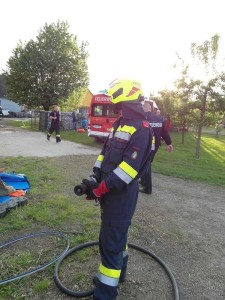 Bilder f F-diskSAM_0720