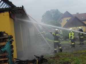 Bilder f F-diskSAM_1670
